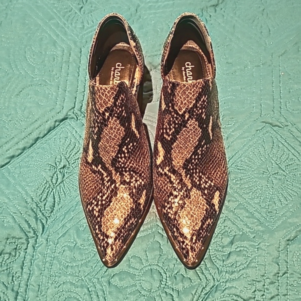 Charles by Charles David. Designer lizard, open side shoes. 8.